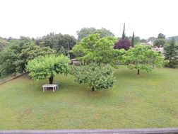 Photo n°3
