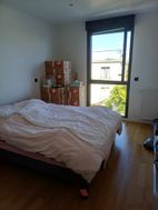 Photo n°4