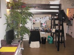 Photo n°2