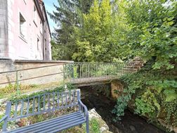 Photo n°6