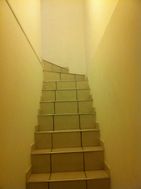 Photo n°6