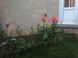 Photo n°1