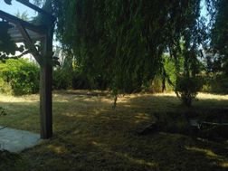 Photo n°4
