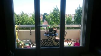 Photo n°4