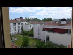 Photo n°8
