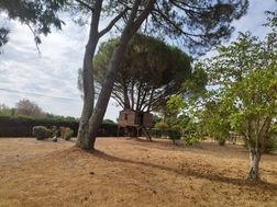 Photo n°3