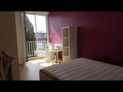 Photo n°3