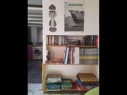 Photo n°15