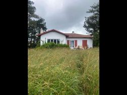 Photo n°1
