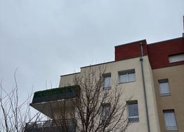 Photo n°8