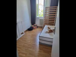 Photo n°6