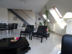 Photo n°6