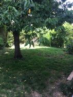 Photo n°3