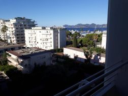 Photo n°6