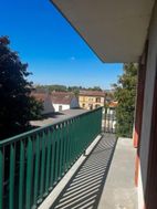 Photo n°5