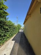 Photo n°8