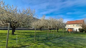 Photo n°5