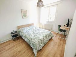 Photo n°7