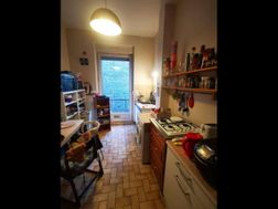 Photo n°4