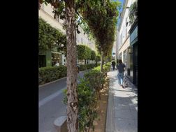 Photo n°3