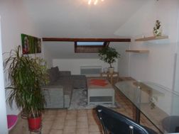 Photo n°1