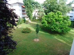 Photo n°4
