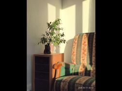 Photo n°4