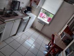 Photo n°4