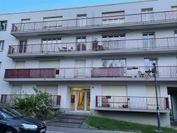 Photo n°6