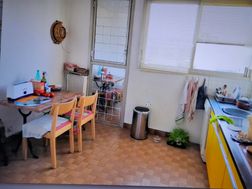 Photo n°3