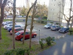 Photo n°4