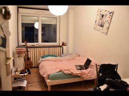 Photo n°3