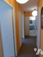 Photo n°4