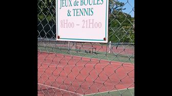 Photo n°5
