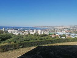 Photo n°1