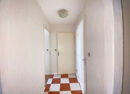 Photo n°6