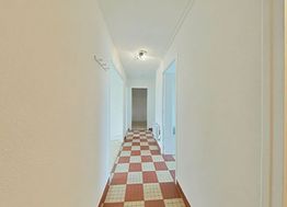 Photo n°6