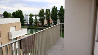 Photo n°6