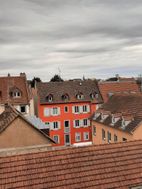 Photo n°8