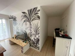 Photo n°4