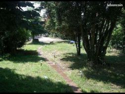 Photo n°2