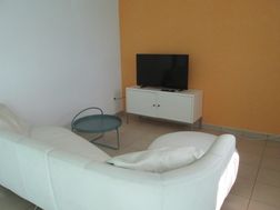 Photo n°4