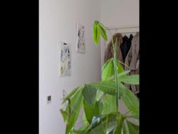 Photo n°5