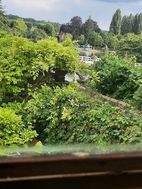 Photo n°8