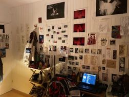 Photo n°8