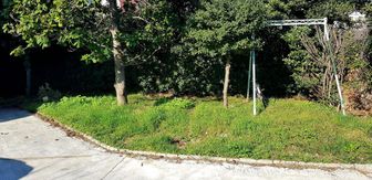 Photo n°2