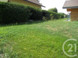 Photo n°7