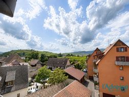 Photo n°9