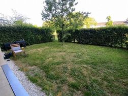 Photo n°5