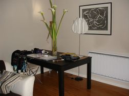 Photo n°1